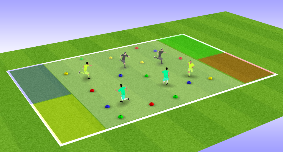 10 exercices de vivacité en football (des U10 aux séniors)